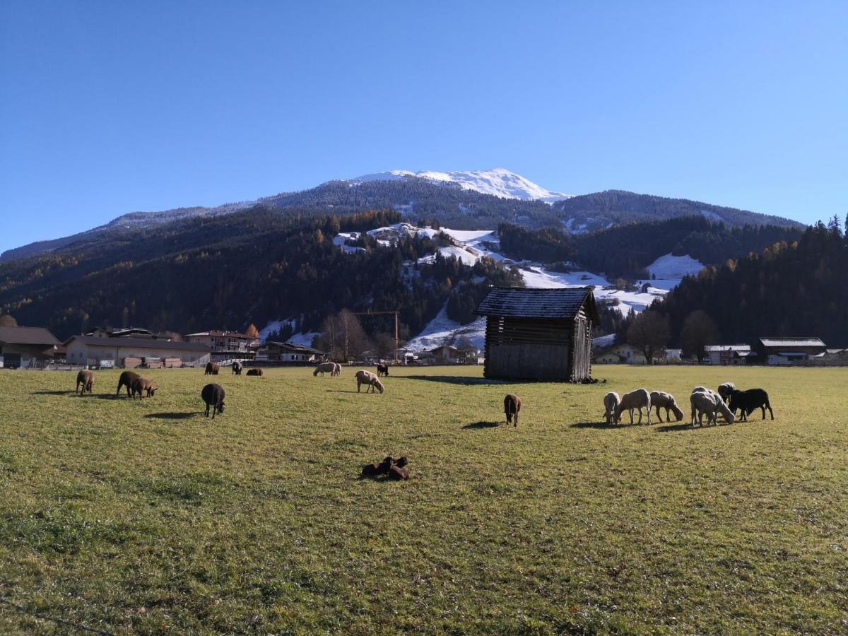 Alpen Chalet Bramberg Bramberg am Wildkogel Dış mekan fotoğraf